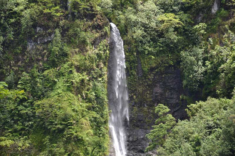 Beauty of nature in Tahiti