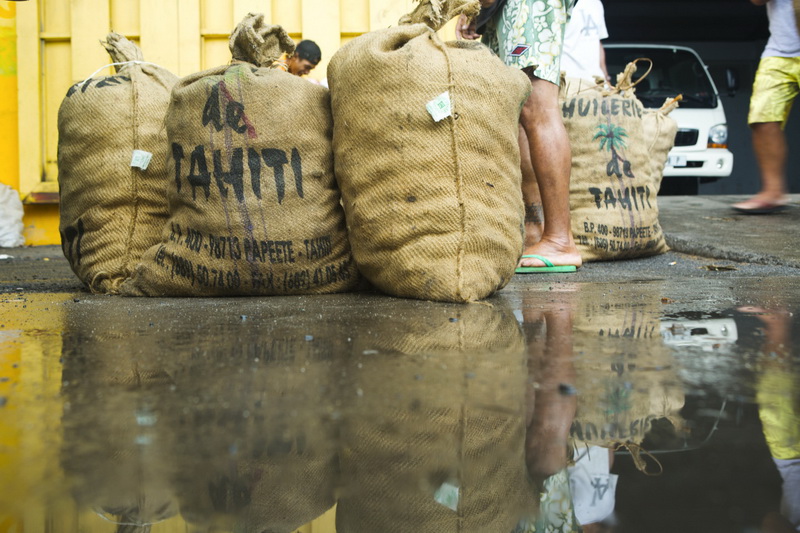 Bags with copra