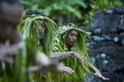 Polynesians dansing in vegetation costume