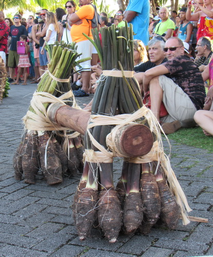 Taro potatoes organised in weight